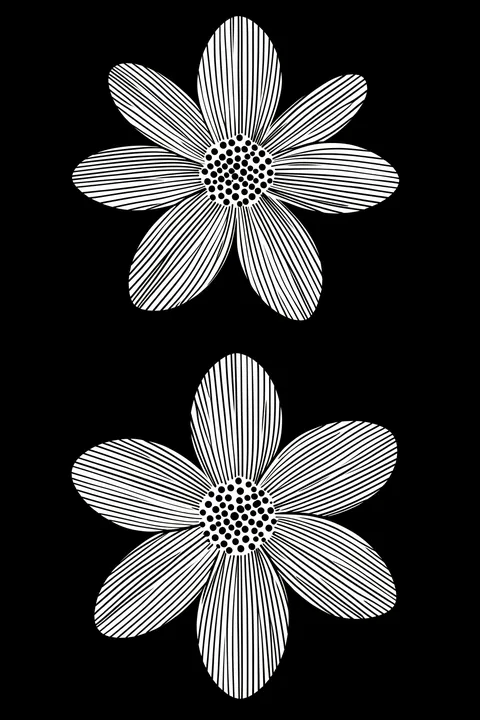 Graphic Black and White Flowers. Two large white flowers with fine black-striped petals and dotted centers stand against a black background.
