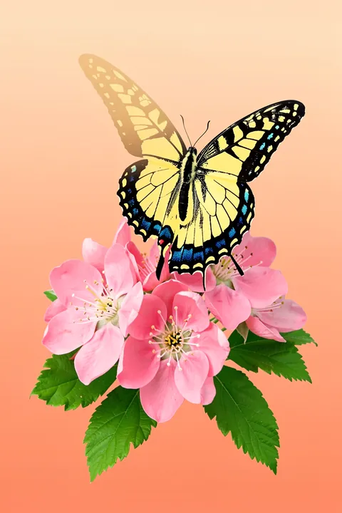 Yellow Butterfly Blooms. A yellow-and-black butterfly rests above pink blossoms and green leaves against a soft peach background.