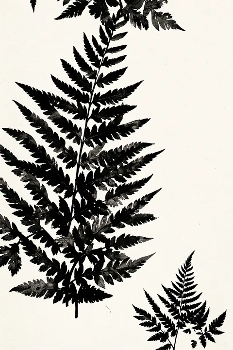 Abstract Jungle Leaves. Black fern fronds overlap on a lightly textured ivory background in a monochrome botanical study.