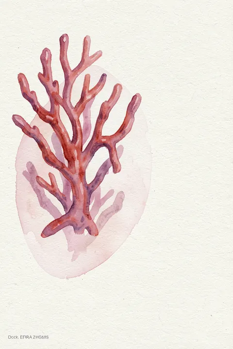 Pink Coral Watercolor. A branching pink and coral watercolor form spreads across textured ivory paper, with a pale blush wash behind it.