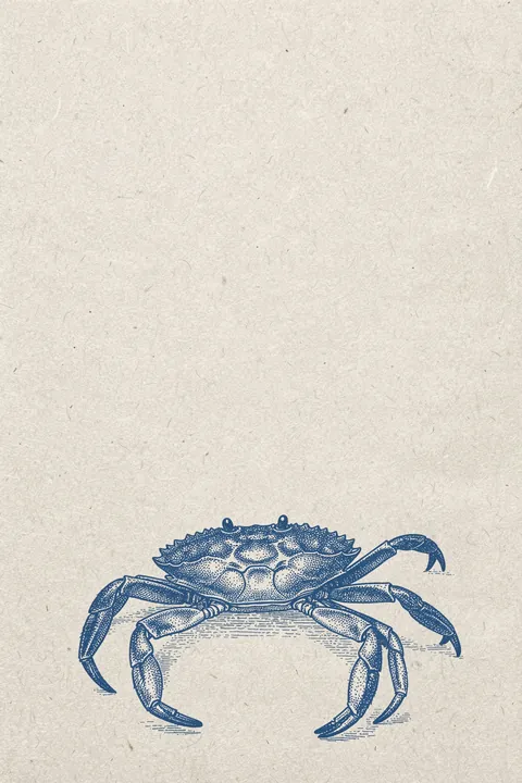 Deep Blue Crab. A finely engraved blue crab sits low on a lightly textured ivory background.