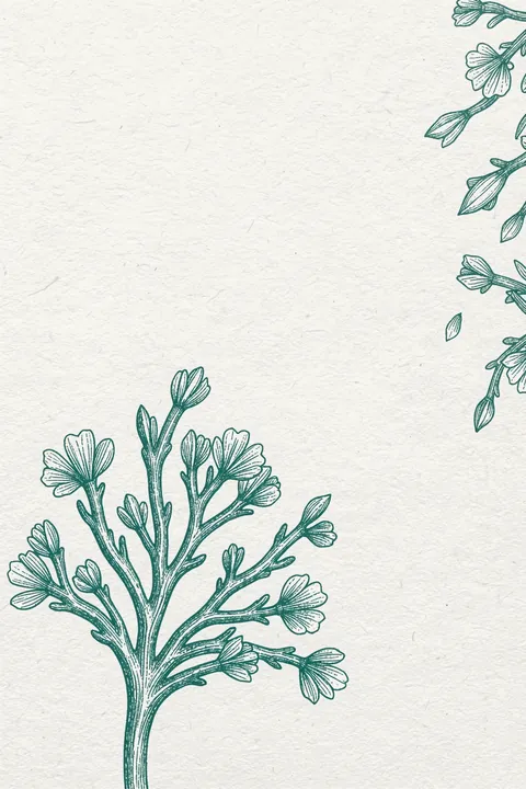 Serene Teal Coral. Fine teal linework depicts flowering branches along the lower left and upper right edges of textured ivory paper.