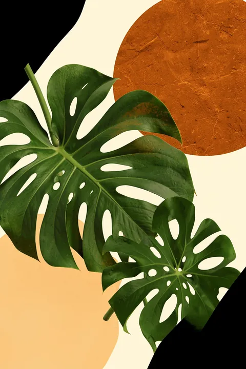 Organic Monstera Abstract. Two green monstera leaves overlap rust and cream abstract shapes, with dark corners framing the scene.
