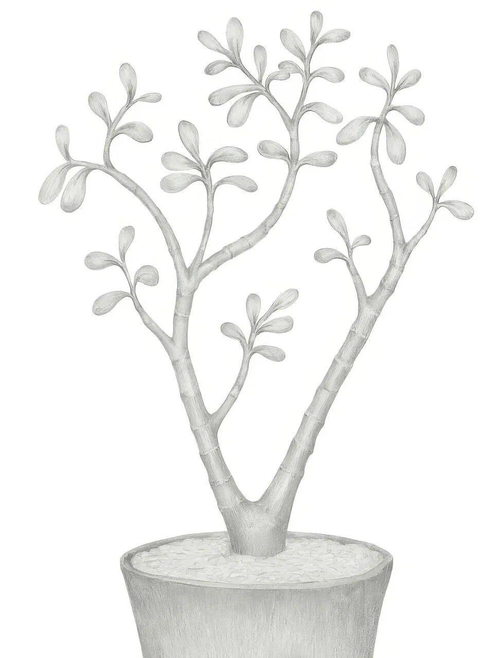 Onlly poster, Bare Branch in a Pot: A small, finely drawn leafless tree rises from a simple grey pot on a light background.