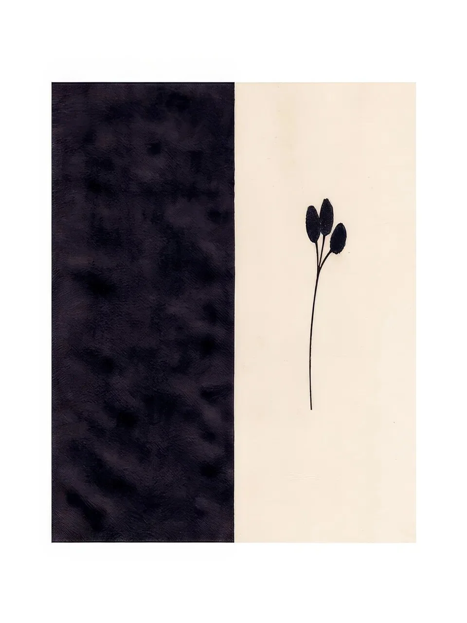 Onlly poster, One Stem in a Dark Field: A tiny plant rises along the boundary of a near-black and pale vertical panel.