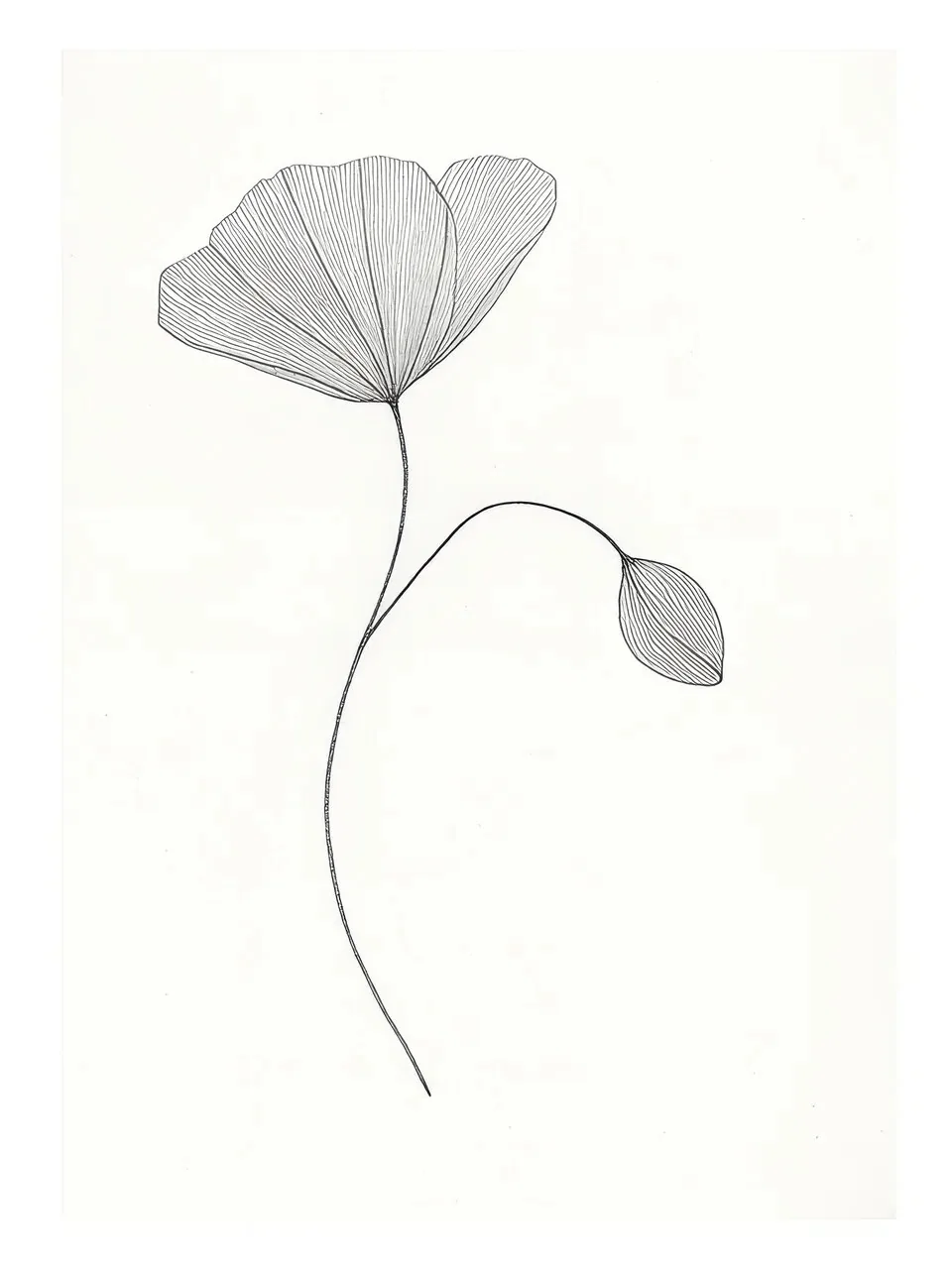Onlly poster, Single Branch with Long Leaves: A thin dark branch bears several long, narrow leaves on ivory.