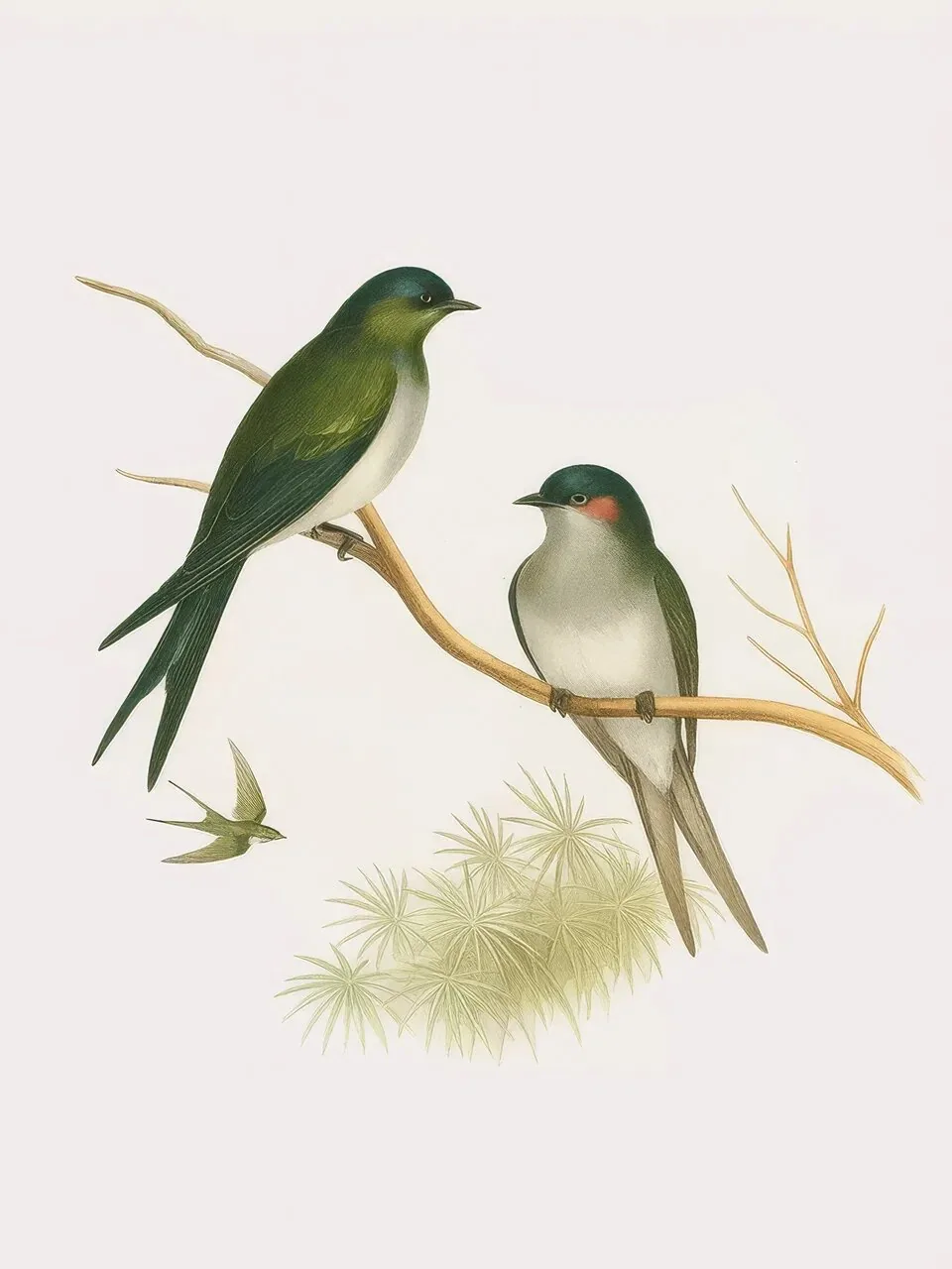 Onlly poster, Two Birds on a Branch: A pair of small birds perch among green leaves on a pale background.