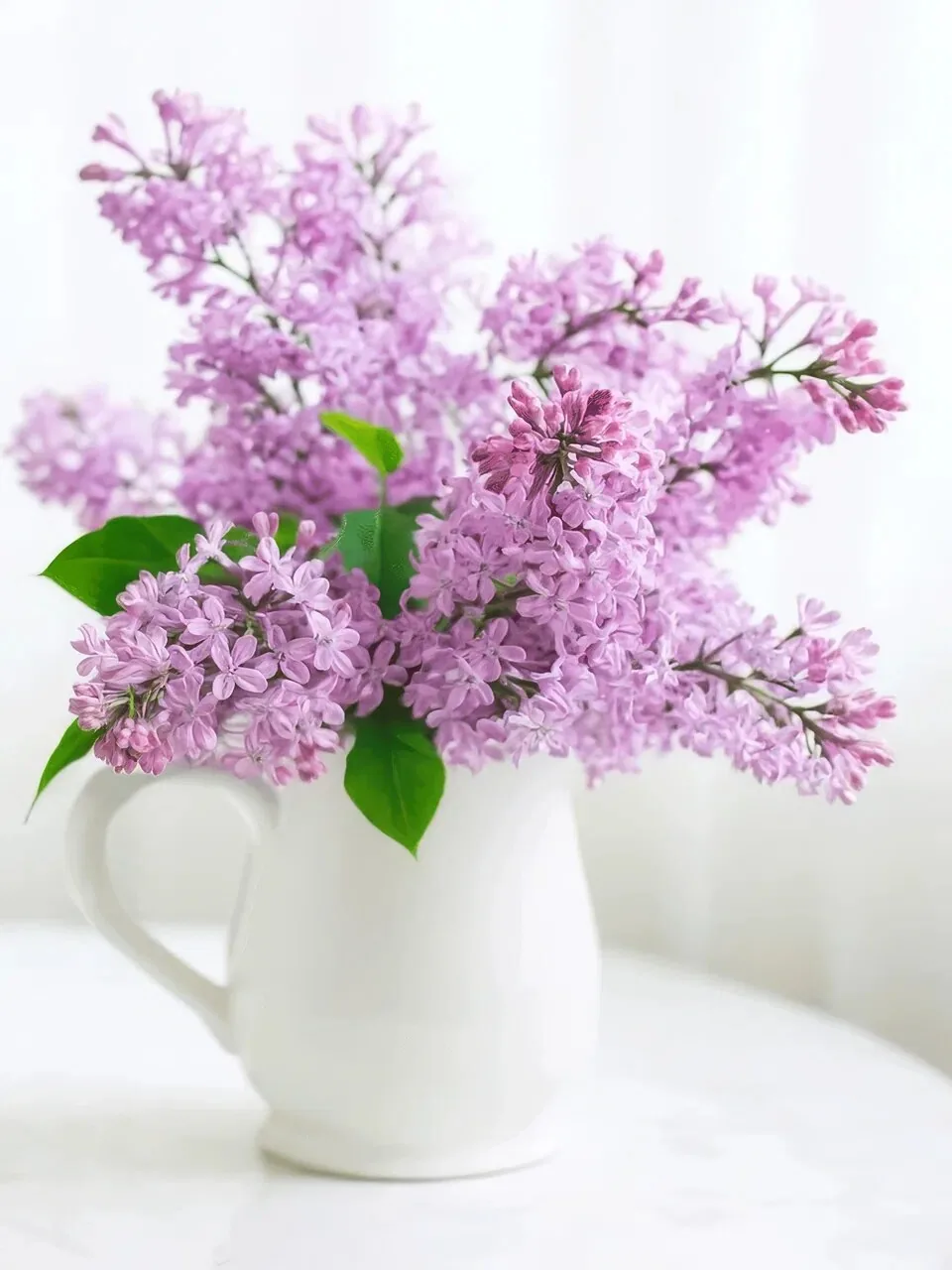 Onlly poster, Lilacs in a White Vase: A dense spray of violet lilacs fills a pale vase.