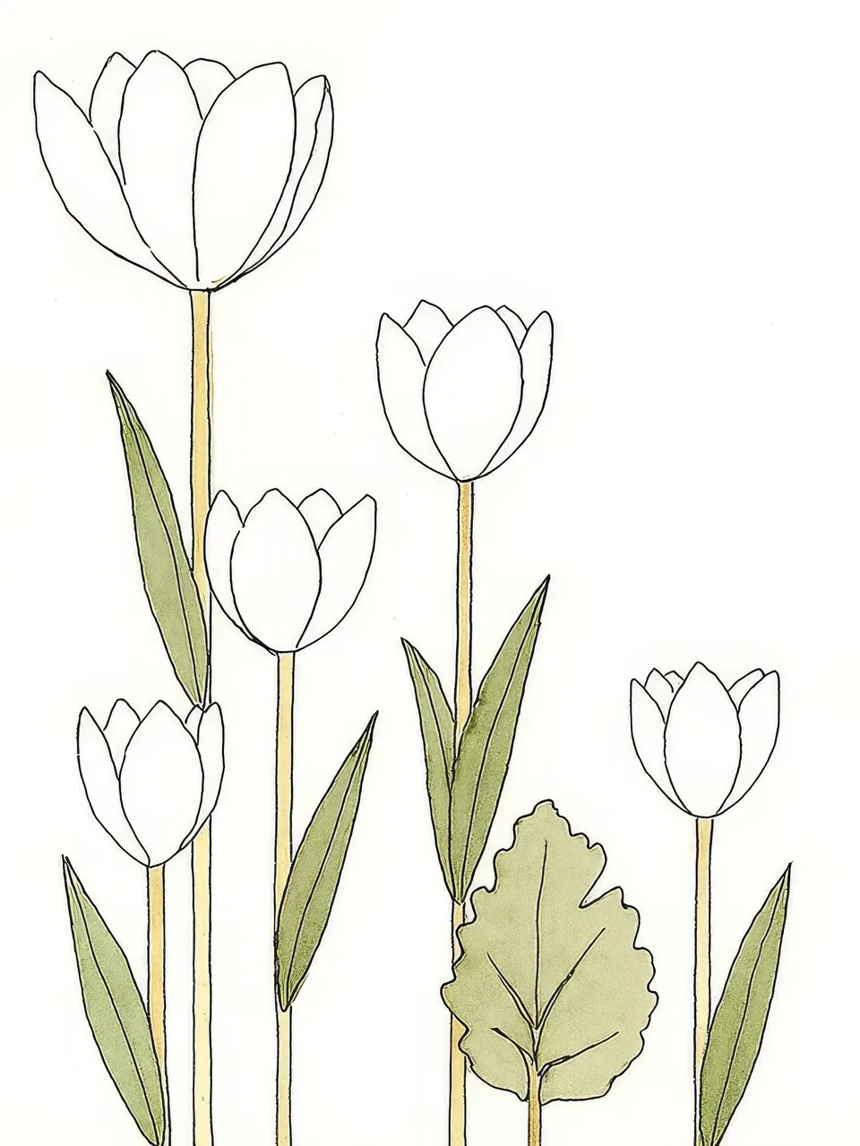 Onlly poster, Outline Tulips and Leaves: Three fine tulip outlines rise among pale green leaves.