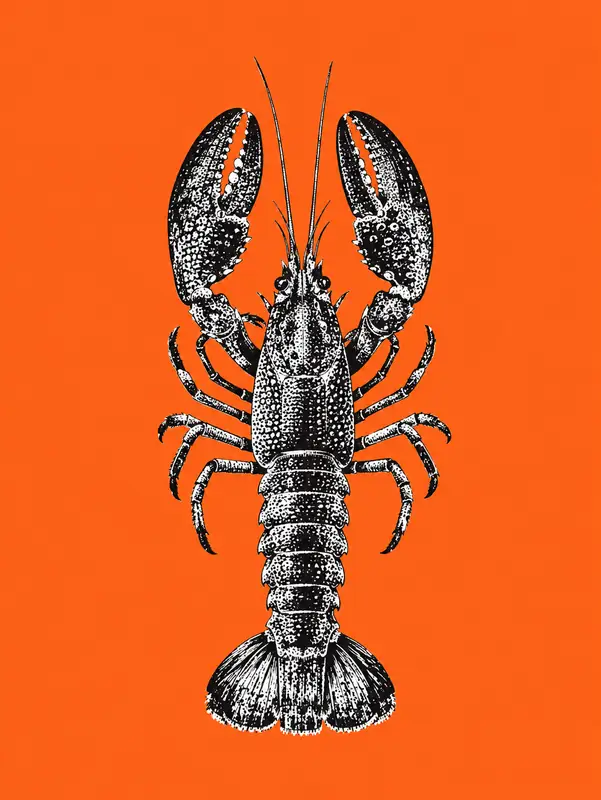 Black-and-white engraved lobster with raised claws on a bright orange background.