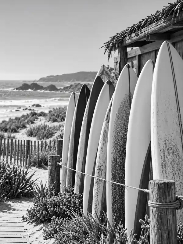 Black-and-white photo of tall surfboards leaning against a weathered beach shed beside a wooden fence.