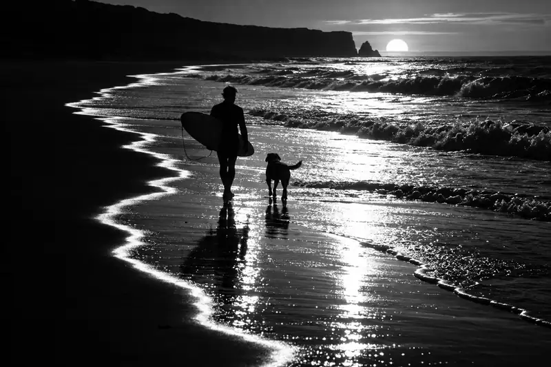 Black-and-white photo of a surfer and a dog walking along a glistening shoreline with foam at the edge.